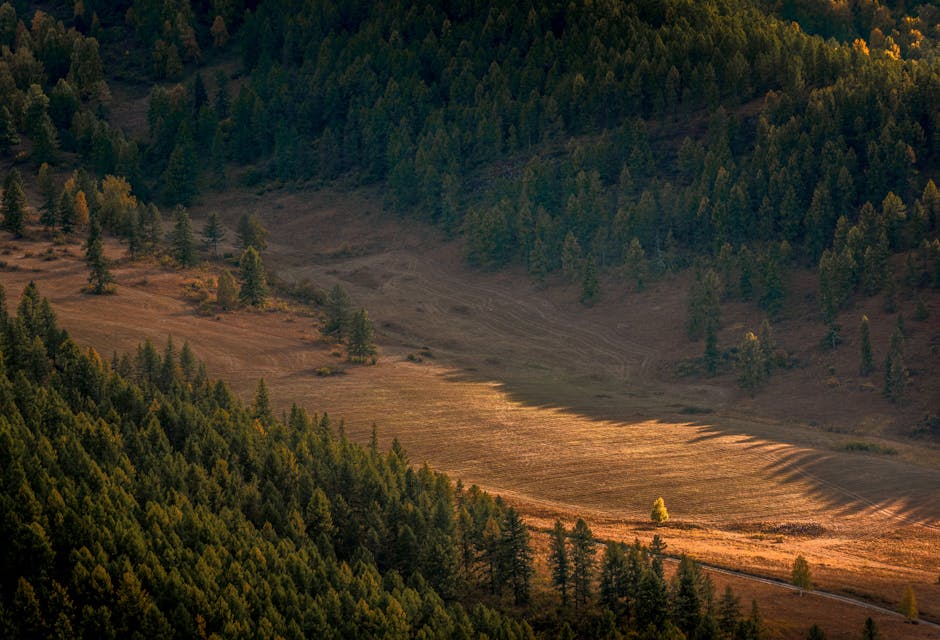 Горный Алтай: Чемал, Телецкое озеро и Чуйский тракт