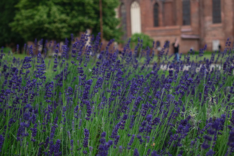 Кисловодск: парк, нарзан и горный воздух