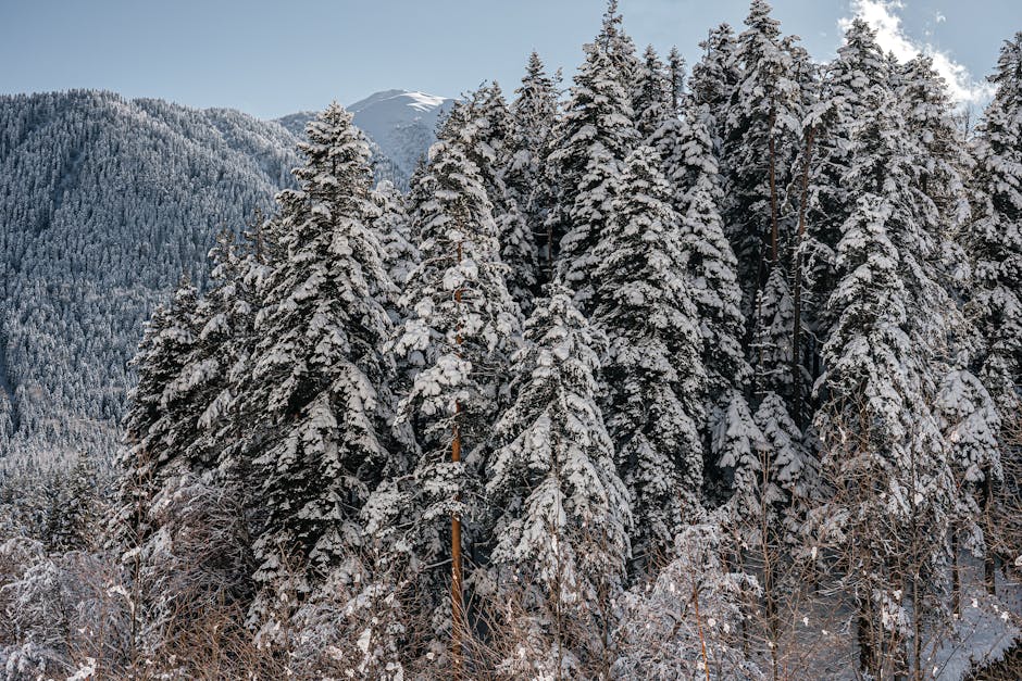 Архыз: молодой горнолыжный курорт с потенциалом