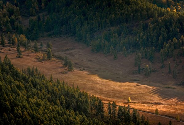 Горный Алтай: Чемал, Телецкое озеро и Чуйский тракт