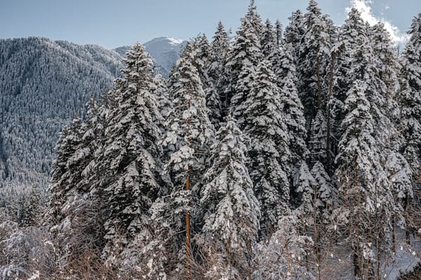 Архыз: молодой горнолыжный курорт с потенциалом